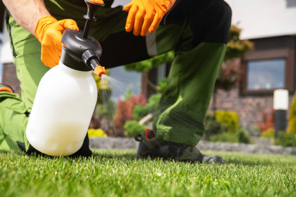 Best Exterminator Services  in Leisuretowne, NJ