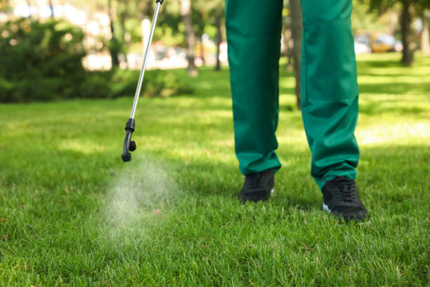 Best Pest Inspection Near Me  in Leisuretowne, NJ