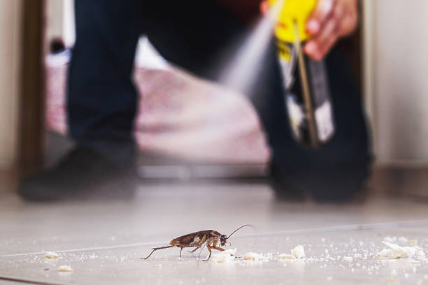 Best Flea Control Services  in Leisuretowne, NJ