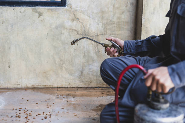 Best Wasp Removal Services  in Leisuretowne, NJ